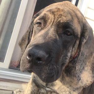 Meet your Posher, Kerri